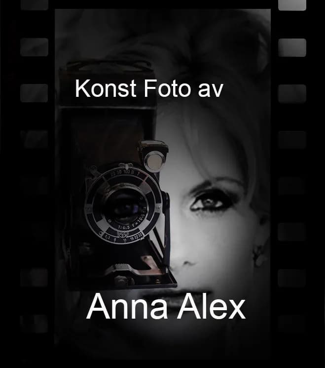 Anna Alex