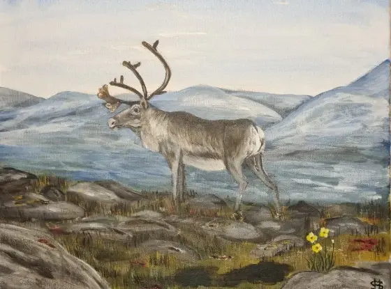 Ren i Fjällandskap - Acryl door Håkan Siggemo
